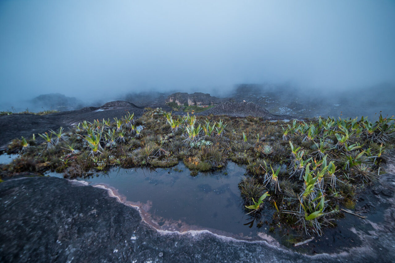 top-of-tepui-1280x853-1